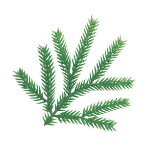    (PE)(400)/Ɩp/Vi/Ώۏi