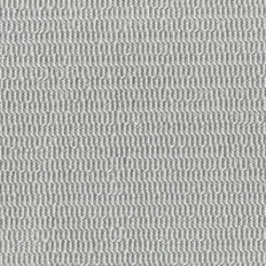 8.5_CԓppSL}bg /Ɩp/Vi/Ώۏi