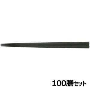 y100ZbgzSPS 21cm܊p OM /Ɩp/Vi/