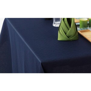 �e�[�u���N���X��210cm×145cm��/�Ɩ��p/�V�i/���������Ώۏ��i