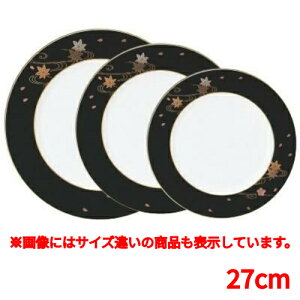 v[g ۃv[gtH27cm /vp/Vi/Ώۏi