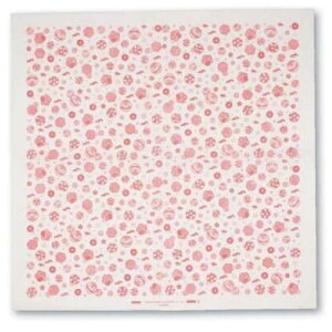  750pC~ |~ԊG 20/Ɩp/Vi/Ώۏi