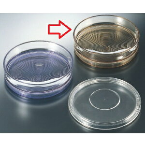  7˔()O[ /Ɩp/Vi/Ώۏi