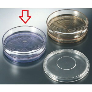  7˔()u[ /Ɩp/Vi/Ώۏi