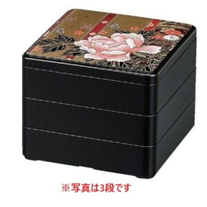 d 5.5 itd  ڂ 2i/Ɩp/Vi/Ώۏi