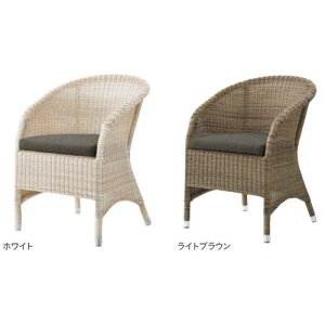 Ɩp֎q K[f\t@~X(i) CHERRY(`F[) /Ɩp/Vi/