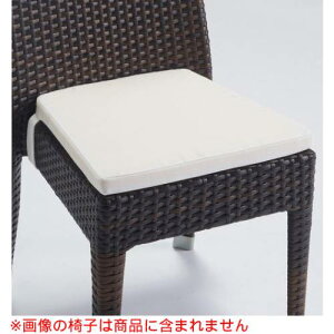 Ɩp֎q CHERRY(`F[X^A) K[f`FA o~[_p/o~[_A[p OΉNbV/Ɩp/Vi/