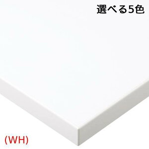 ST-007�y�v���V�[�h�z�e�[�u���V�� �����~�����ϔ�/ABS�G�b�W 900��(mm)/�Ɩ��p/�V�i/��������