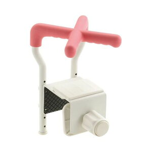 肷X ݗH@130/y140053 sNz×1g/Ɩp/Vi/