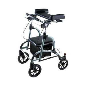 s friend(th)/yWF-1 O[^bNz×1g/Ɩp/Vi/