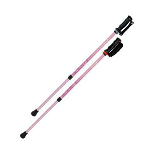 񂵂2{ 2{1g/y650191 sNz×1g/Ɩp/Vi/Ώۏi