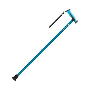 ou[XebL Ch/y104981 u[z×1g/Ɩp/Vi/Ώۏi