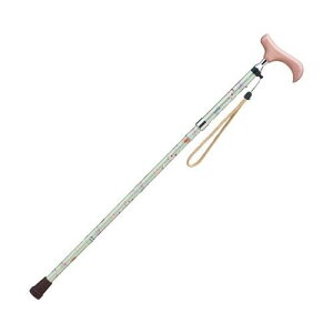  veBLbcV[Y ܂肽ݏ/yAN-13 CgO[z×1g/Ɩp/Vi/Ώۏi