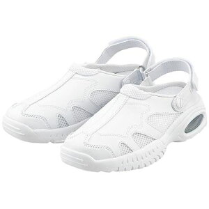 ANeBu/o[ V5 Ev jp/y22.0cm z×1g/Ɩp/Vi/Ώۏi