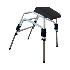 gCłӂ΂N/yIG-FS02z×1g/Ɩp/Vi/