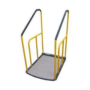 肷2(Ȃ)/yKT21z×1g/Ɩp/Vi/