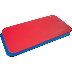 �G�A���b�N�X�}�b�g �R���i/�yAMF-300R ���b�h�z×1�g/�Ɩ��p/�V�i/��������