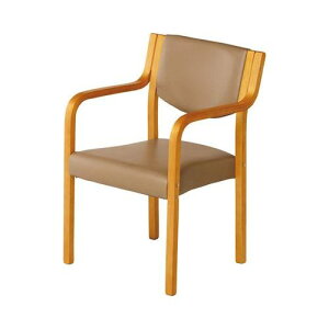 ؐ`FA/yCX-10010 IWz×1g/Ɩp/Vi/