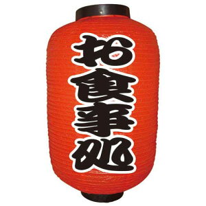 fUC H() 12 ̂ڂ艮H[ 9142/Ɩp/Vi/Ώۏi/e|X