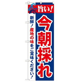 のぼり「旨い!今朝採れ 2800」のぼり屋工房 21689 幅600mm×高さ1800mm/業務用/新品/小物送料対象商品/テンポス