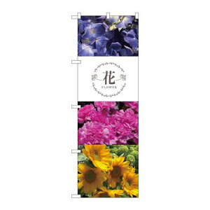 P.O.Pv_Nc@N_̂ڂ 81816  t[^S KMNVi/Ώۏi/e|X