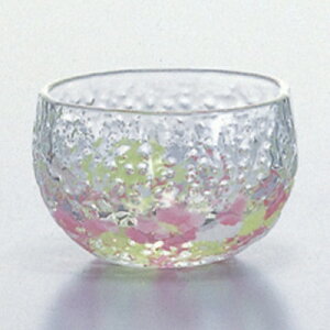  mX؃KX SA301 /Ɩp/Vi/Ώۏi