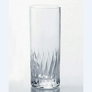 ibNEtFU[HS 10]r[ mX؃KX T-20101HS-2 /6iƖpj