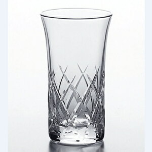 Wi qgN`r[mX؃KX T-21104HS-E107/ 6/Ɩp/Vi/Ώۏi