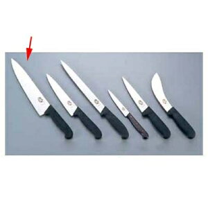 Victorinox vtFbViV[Y  52003 [n] 28cm/Ɩp/Vi /z15000~ȏwő