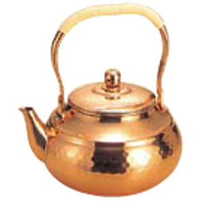 �� �Ɩړ� �j���[�^�C�v �P�b�g�� SC-2009 2L/�Ɩ��p/�V�i/��������