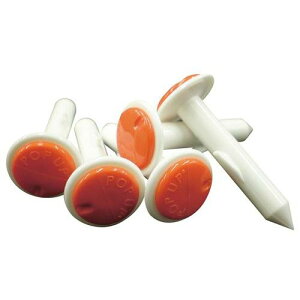 |bvAbv^C}[ [Xgr[tp 145S (200{) yƖpzyzyvpz /e|X