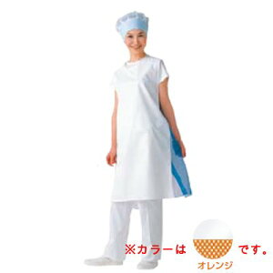 ZVA GvȂiチbVj E1100-4 IW/Ɩp/Vi/Ώۏi