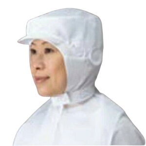 ЖXq P[vt^Cv L 9-1011/vp/Vi /Ώۏi