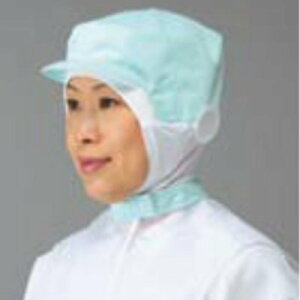 ЖXq P[vt^Cv LL 9-1013O[/vp/Vi /Ώۏi