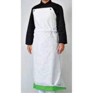 RۃtBbgO|J[h L //Ɩp/Vi /e|X