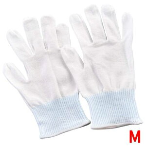 JbgWXgCi[ No.145 M/vp/Vi /Ώۏi