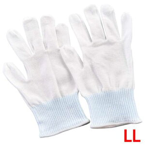 JbgWXgCi[ No.145 LL/vp/Vi /Ώۏi