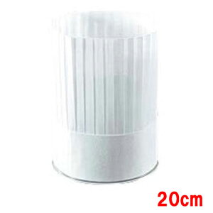 vXe[W VFtnbg(10) PS20111/vp/Vi /Ώۏi