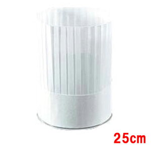 vXe[W VFtnbg(10) PS25111/vp/Vi /Ώۏi