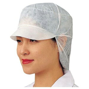 Xk[hLbv t[TCYi100j D89110/vp/Vi /Ώۏi