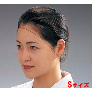 wA[lbg(100) S T20662/Ɩp/Vi/z15000~ȏwő