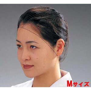 wA[lbgi100j M T20663/vp/Vi /Ώۏi