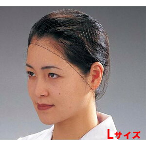 wA[lbgi100j L T20664/vp/Vi /Ώۏi