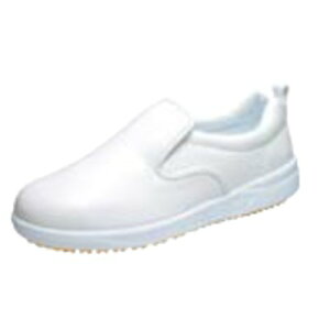 ATq RbNV[Y101  24cm/vp/Vi /Ώۏi