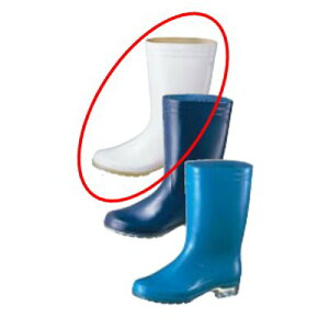 ALX C ^tebNzCg62  26cm /vp/Vi /Ώۏi