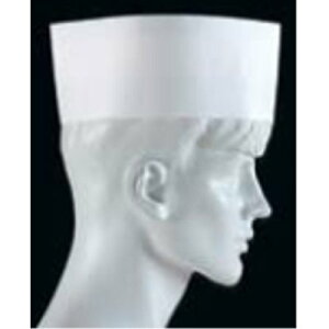 pXnbg aXq(50) PH-10NT/vp/Vi /Ώۏi