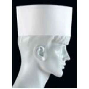 pXnbg ؖXq(50) PH-12NT/vp/Vi /Ώۏi