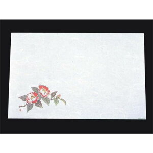 ڎO ΂܂ RۉԘa(100) WS-2  122/Ɩp/Vi/Ώۏi