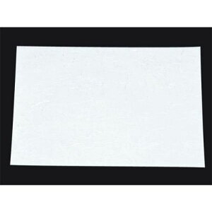 ڎO ΂܂ RۉԘa(100) WSA-02 n I[V[Y/Ɩp/Vi/Ώۏi