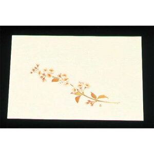 ԊORۘa lG̉ ڎO΂܂ƃN[i100j WSS-4  24/Ɩp/Vi/Ώۏi